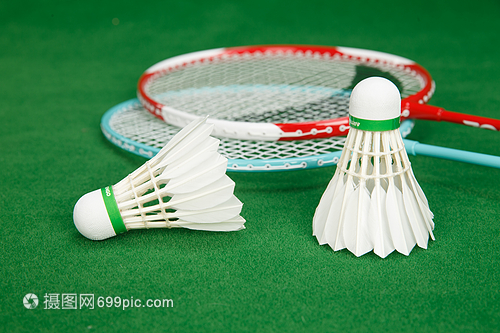 手的特点 手的特点